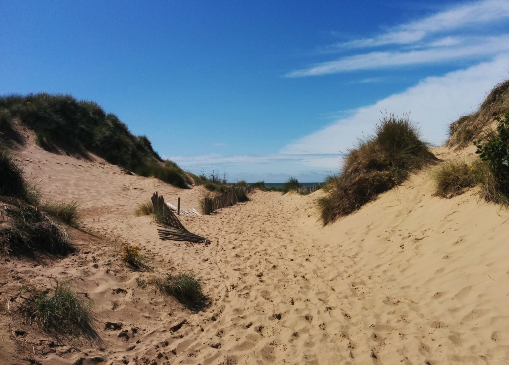 Formby sand dune