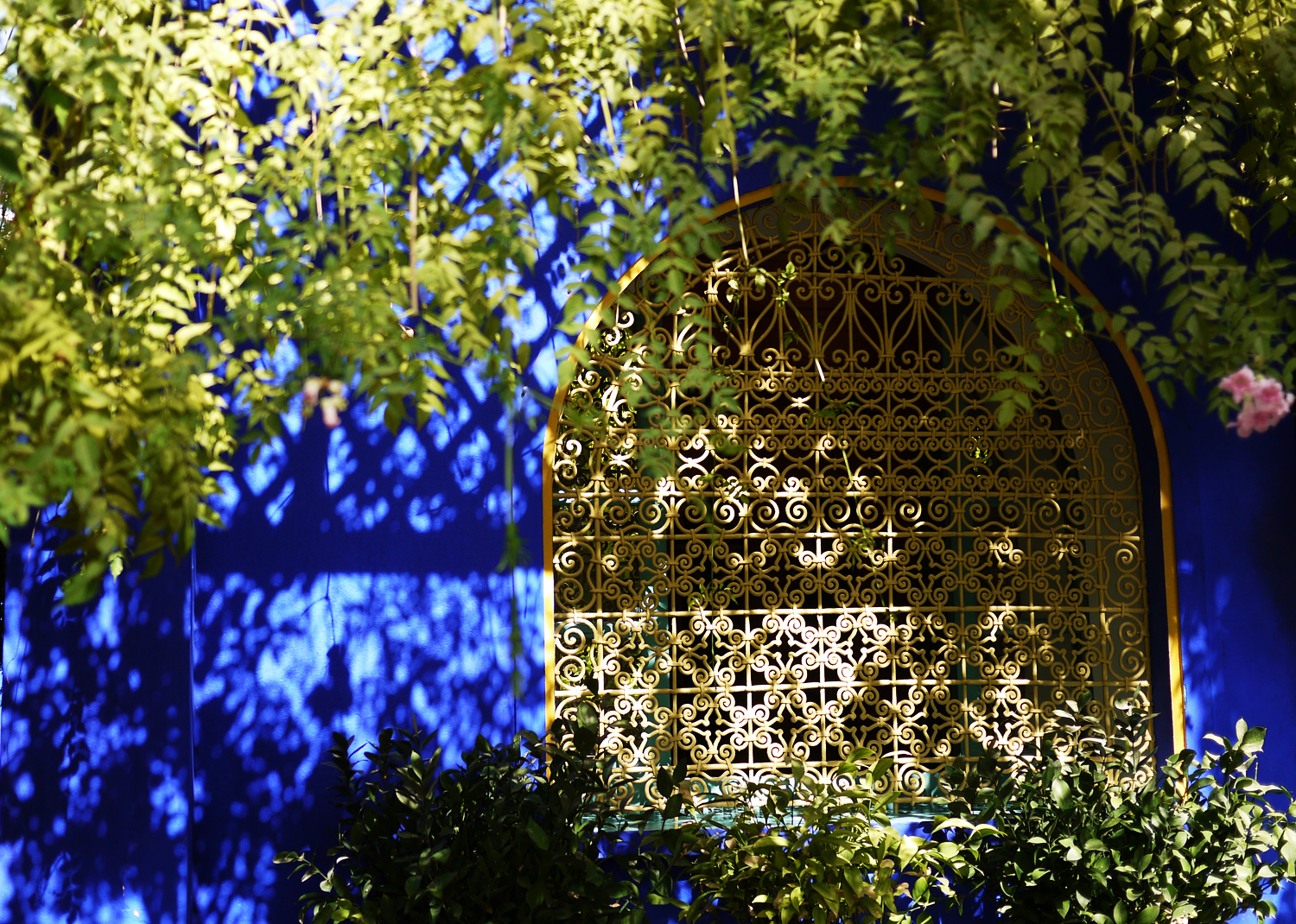 Marjorelle Window