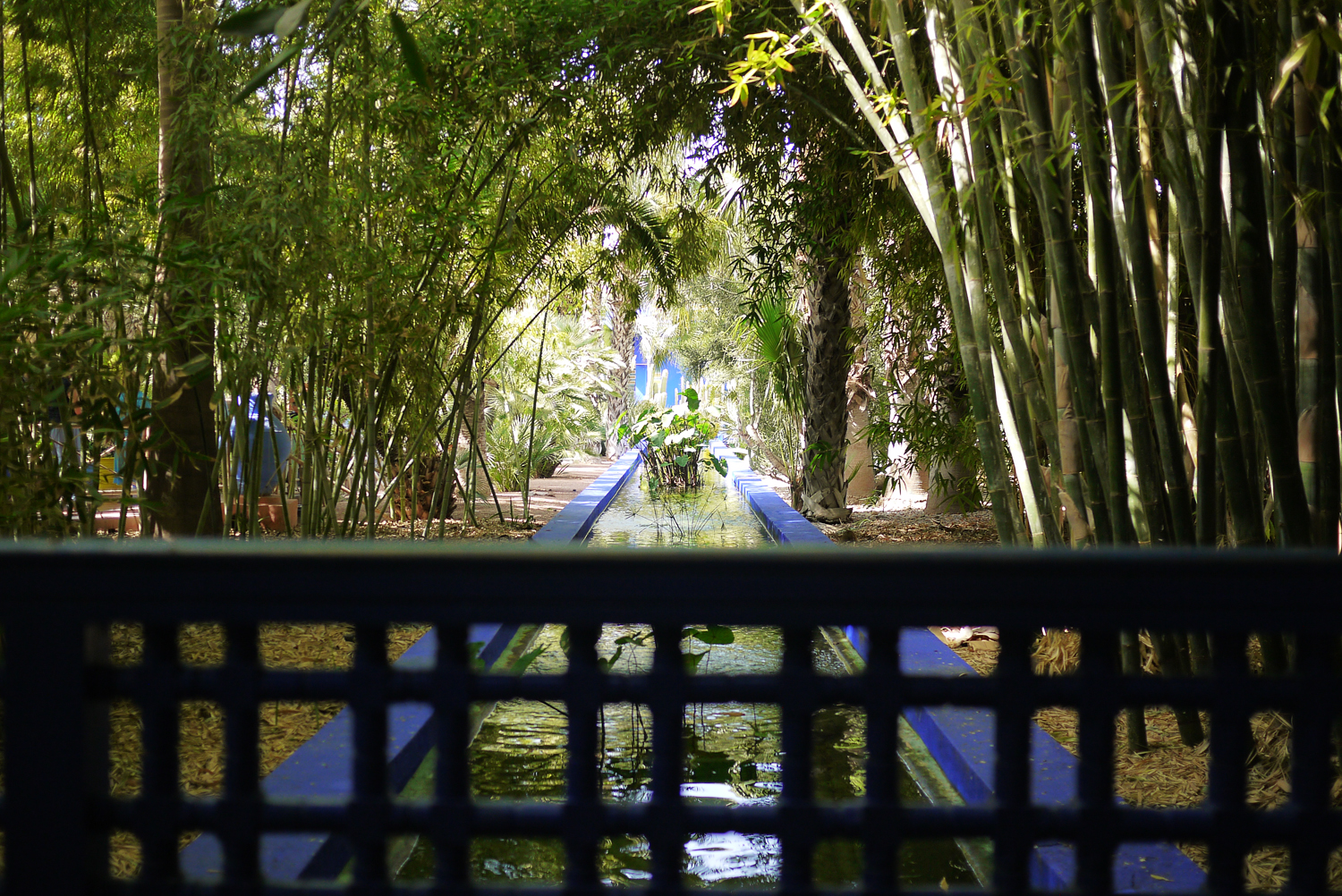 Marjorelle stream