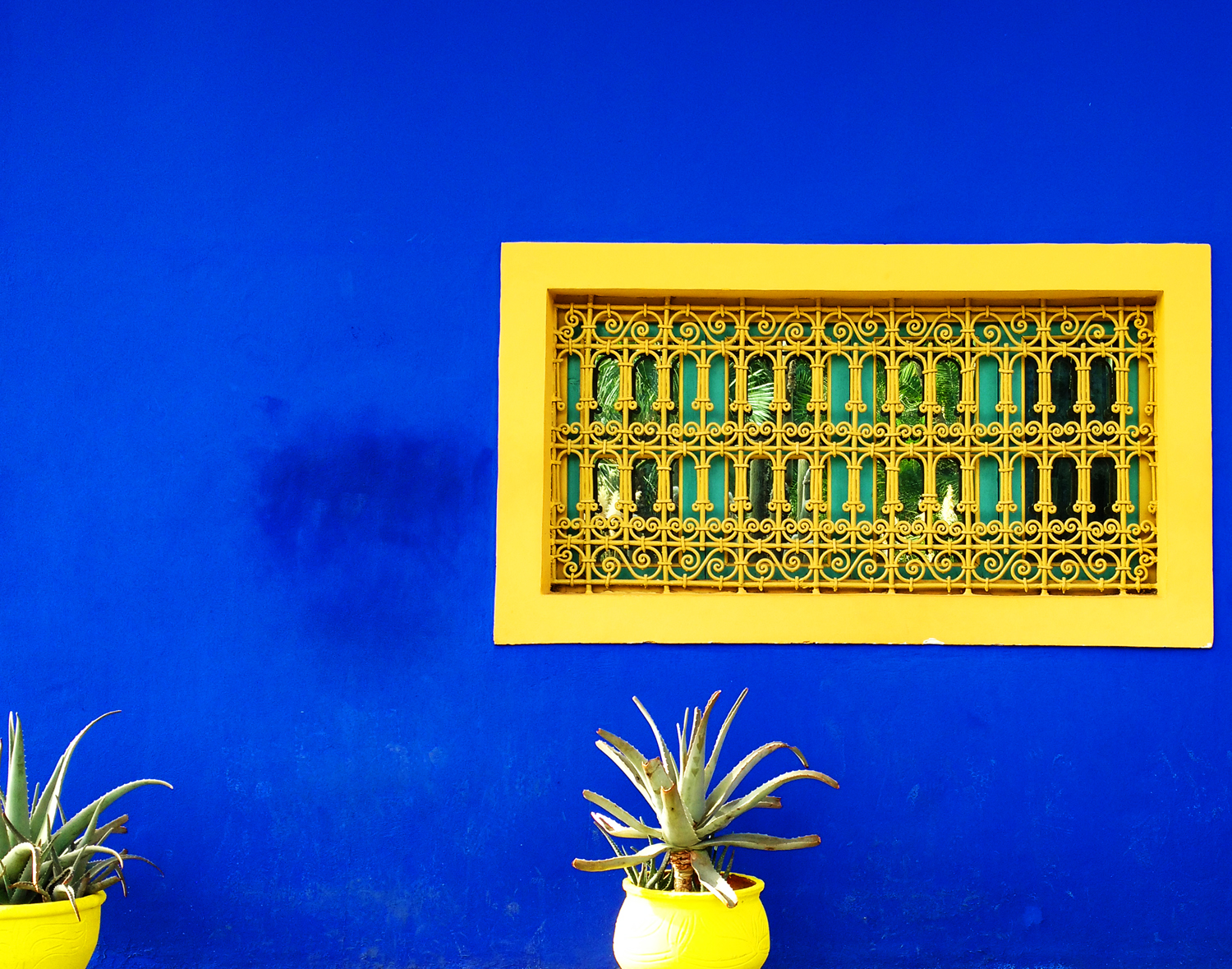 Marjorelle wall and window