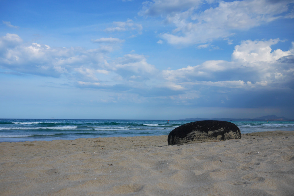#9 Bai Dai, and why 'off the beaten track’ isn't always best