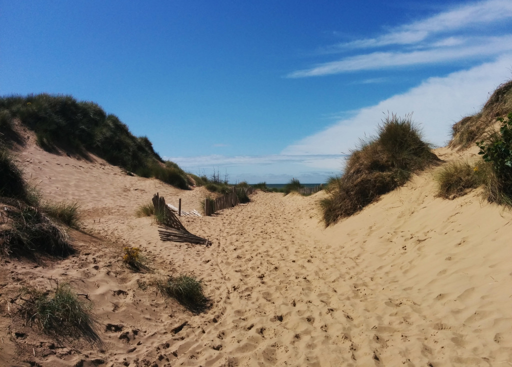 Formby sand dune