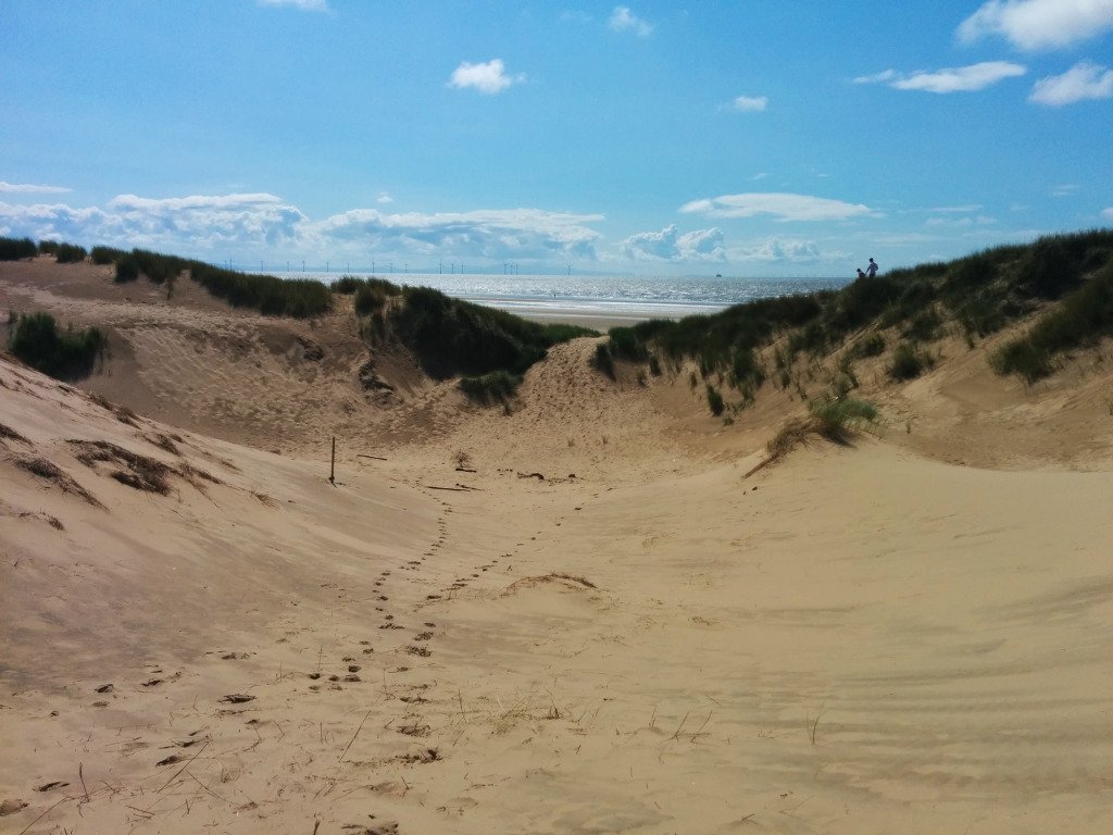 Formby sand dune 2